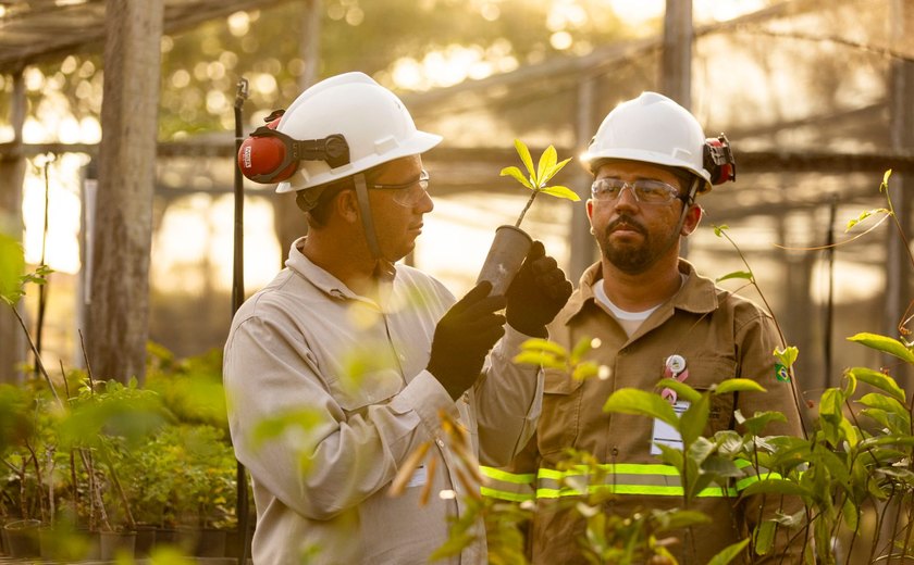 MVV é “Selo Ouro” pela 4ª vez no Programa GHG por baixa emissão de efeito estufa