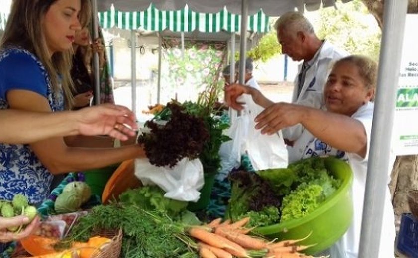 Produtos orgânicos voltam a ser comercializados na Semarh em 7 de março