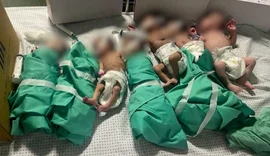 Dezenas de bebês prematuros transferidos de Gaza chegam ao Egito