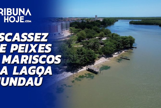 Escassez de peixes e mariscos na Mundaú