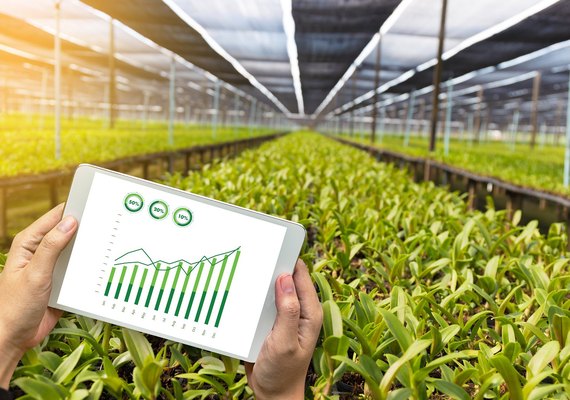 Coopercitrus faz inovação chegar ao produtor rural na 47ª Expocitros