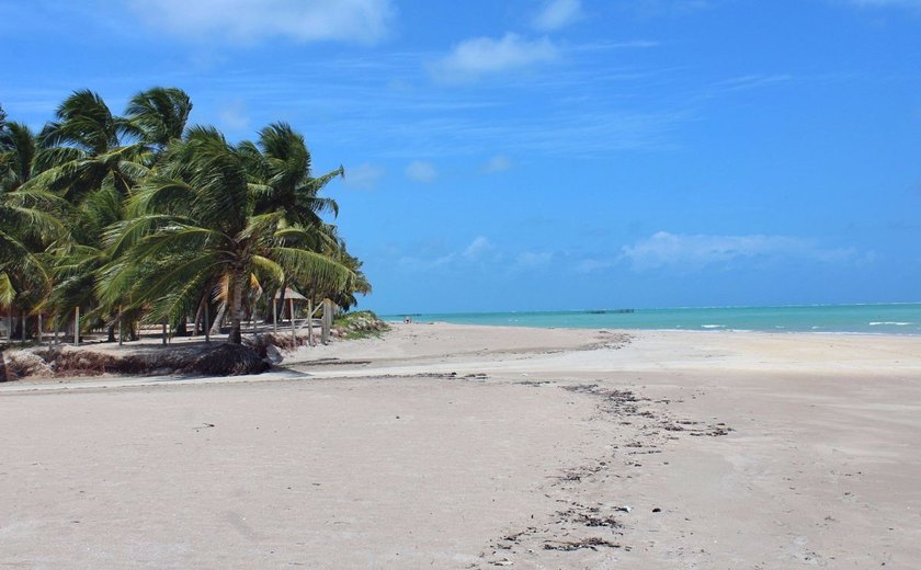 Maragogi: Xaréu, a Praia da Bruna, volta à “ribalta”