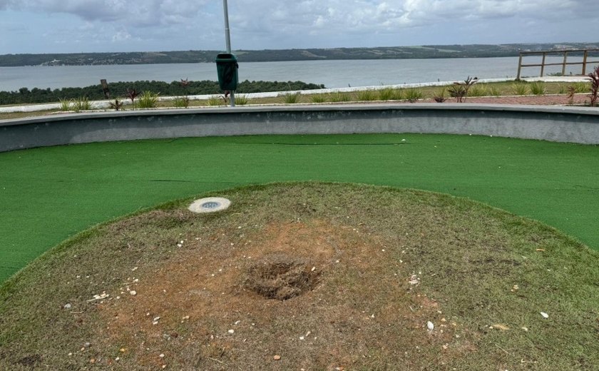 Muda de Ipê recém plantada no novo Mirante da Santa Amélia é furtada por populares