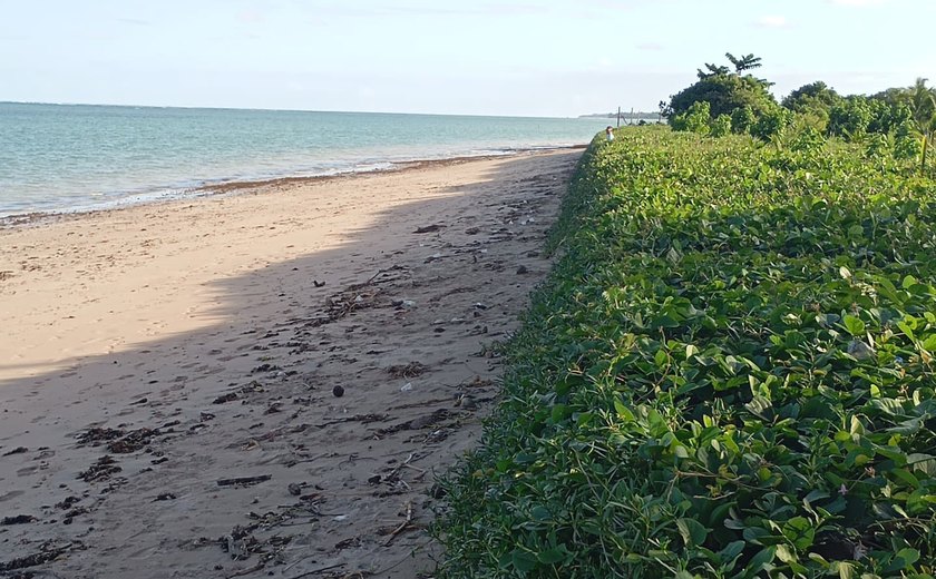 Soluções hibridas com uso de Geobags são as melhores escolhas para conter o avanço do mar nas praias alagoanas