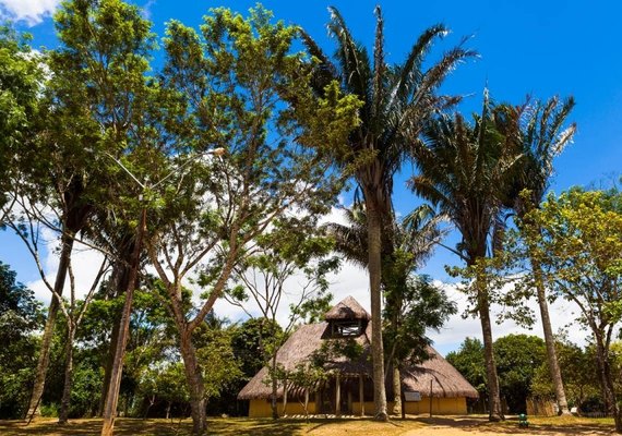 Dia da Consciência Negra: público na Serra da Barriga será definido por ordem de chegada
