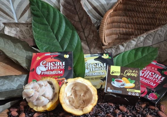 Cacau ganha força em Matriz de Camaragibe com apoio do Sistema Faeal/Senar
