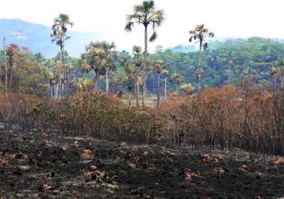 MPF instaura inquérito para investigar se incêndio na Chapada foi criminoso