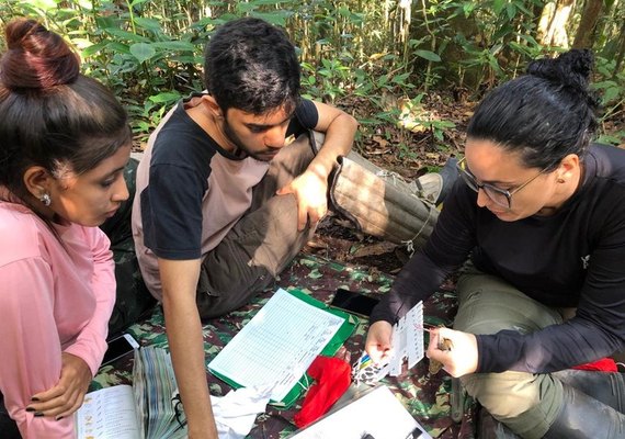 Pesquisadores buscam recuperar população de ave em extinção