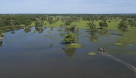 Região do Pantanal representa maior planície de inundação contínua do planeta
