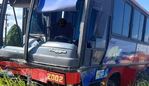 Animal de carga morre após ônibus passar por cima de carroça na BR-101