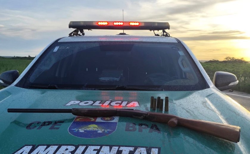 PM/AL apreende armas de fogo, aves silvestres e redes de pesca predatória no interior