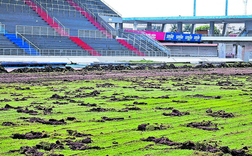 Rei Pelé (Trapichão) :: Brasil :: Página do Estádio 