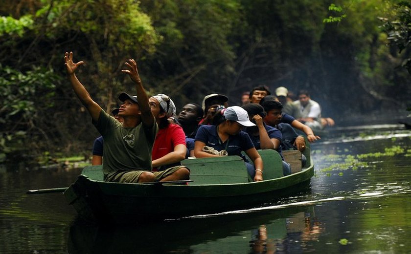 Amazônia: gigante bioma verde que incentiva o turismo de natureza pelo Brasil