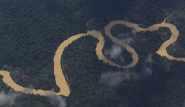 Cimi pede recomposição de comissão que acompanha crise Yanomami