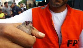 Fiscalização Preventiva Integrada apreende mais de 200 pássaros em Arapiraca