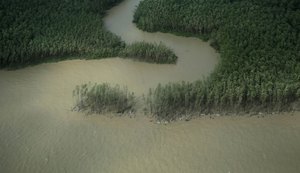 Amapá pede socorro ao Governo: sair de condenado à pobreza ao eldorado do petróleo