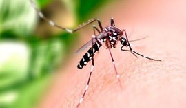 Saúde orienta população sobre cuidados com casas e empresas fechadas durante o Carnaval