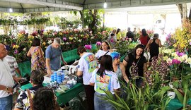 Exposição de orquídeas e bromélias põe à venda mais de seis mil plantas