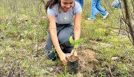 IMA/AL celebra Dia da Caatinga com plantio de mudas nativas em Ouro Branco