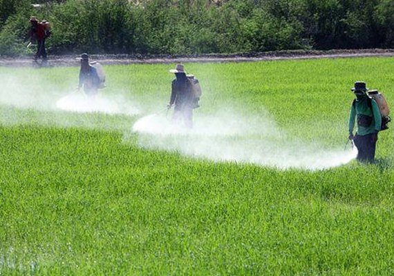 Brasil avança na liberação de agrotóxicos