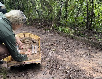 Mais de 160 animais silvestres são soltos em Alagoas
