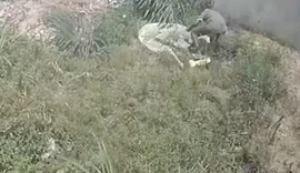 Homem é flagrado furtando bomba de cacimba em terreno baldio em Arapiraca