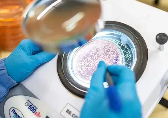 Cooperativas passam de clientes a fornecedores em mercado que movimenta R$ 7 bilhões