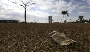 Região Sul tem risco de temporal e granizo; outras regiões têm calor