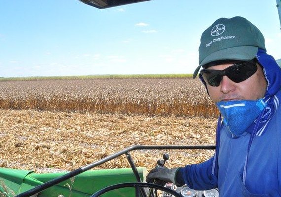 Alagoas terá mais de mil hectares plantados com soja nesta ano