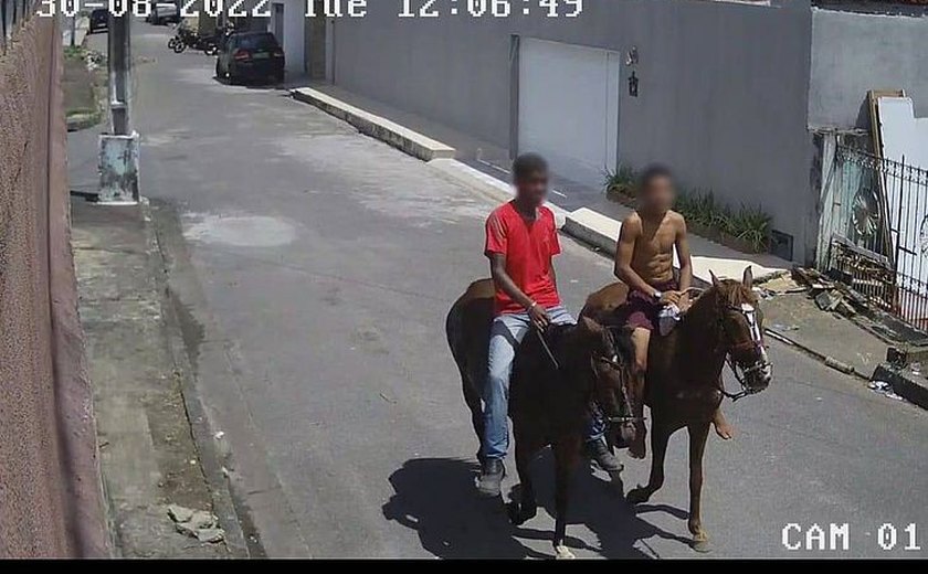 Dupla usa cavalos para assaltar mulher no Barro Duro, em Maceió