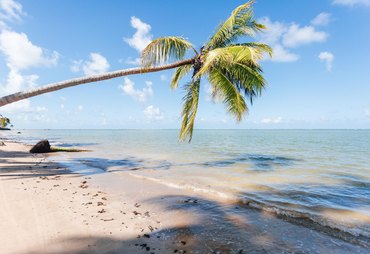 O Melhor do Turismo Brasileiro: Alagoas é finalista em prêmio do jornal Estadão