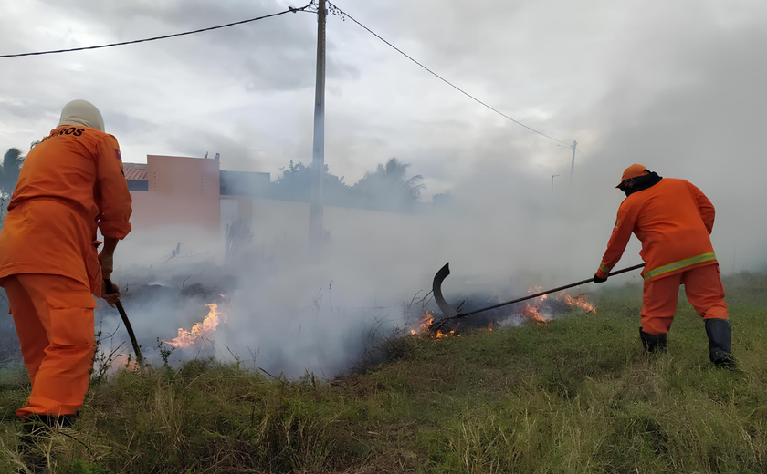 Bombeiros combatem incêndio em vegetação em União dos Palmares