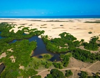 MPF quer proteger Área de Proteção Ambiental de Piaçabuçu no Carnaval