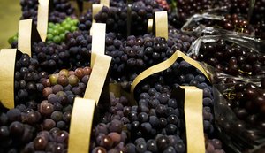 BNDES aprova R$ 1,2 bi para empresas afetadas pelo tarifaço