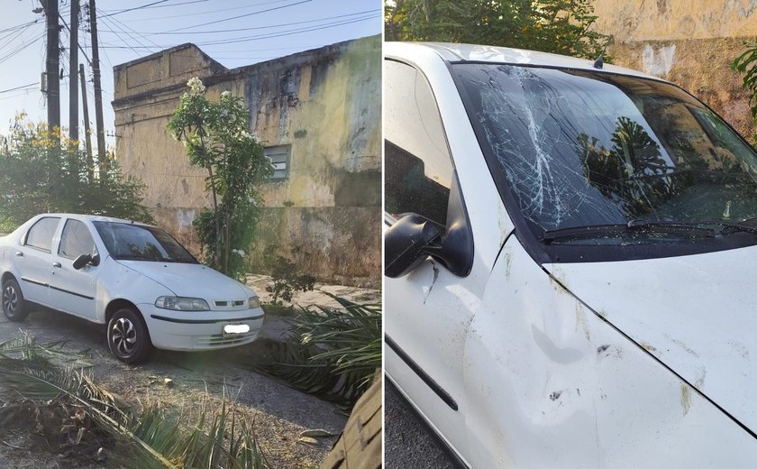 Árvore de grande porte cai e danifica carro no bairro Prado, em Maceió