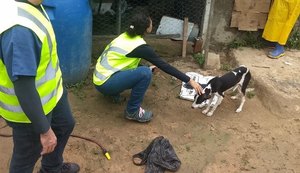 Médicos veterinários de Alagoas vão atuar em rompimento de barragem na Bahia