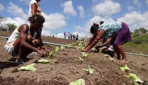 Estado vai abrigar projeto-piloto nacional para inclusão social produtiva