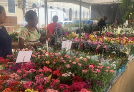 Maceió recebe o colorido e o perfume da Feira de Flores de Holambra na Praça Dom Pedro