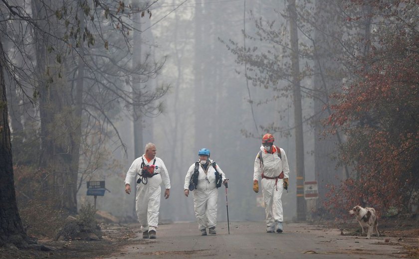 Incêndio nos EUA: 1,3 mil estão desaparecidos; 79 mortes confirmadas