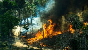 Ministério do Meio Ambiente quase zera verba para o clima