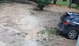 Polícia prende em União dos Palmares suspeito de tráfico de drogas em Pernambuco