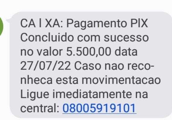 Mulher é presa em São Paulo após lesar vítima em R$ 13 mil