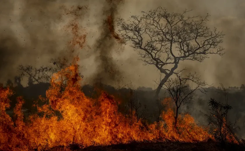 Crise climática é amplificadora de outras crises, alerta pesquisadora