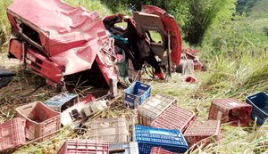 Motorista de caminhão morre após veículo cair  em ribanceira na BR-101