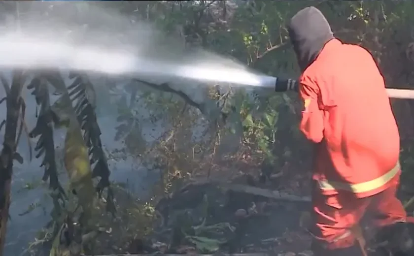 Alagoas registra 460 incêndios em vegetação