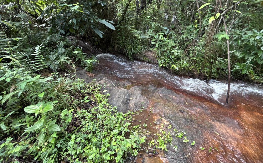 Rota do Cacau amplia ecoturismo e preservação ambiental em Matriz de Camaragibe