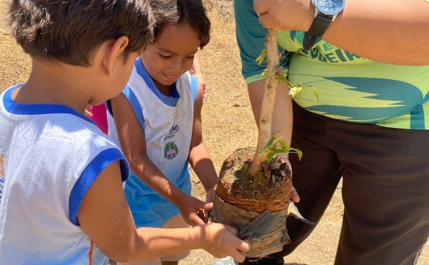 Projeto realiza atividades sustentáveis e plantio de árvores com crianças do Flexal