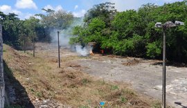 Moradores da Serraria denunciam retirada de árvores nativas de horto florestal, mas prefeitura nega