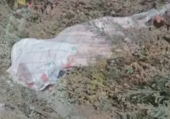 Corpo de idoso é encontrado às margens da BR-101, em São Sebastião
