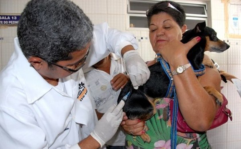 Campanha de vacinação antirrábica começa na segunda